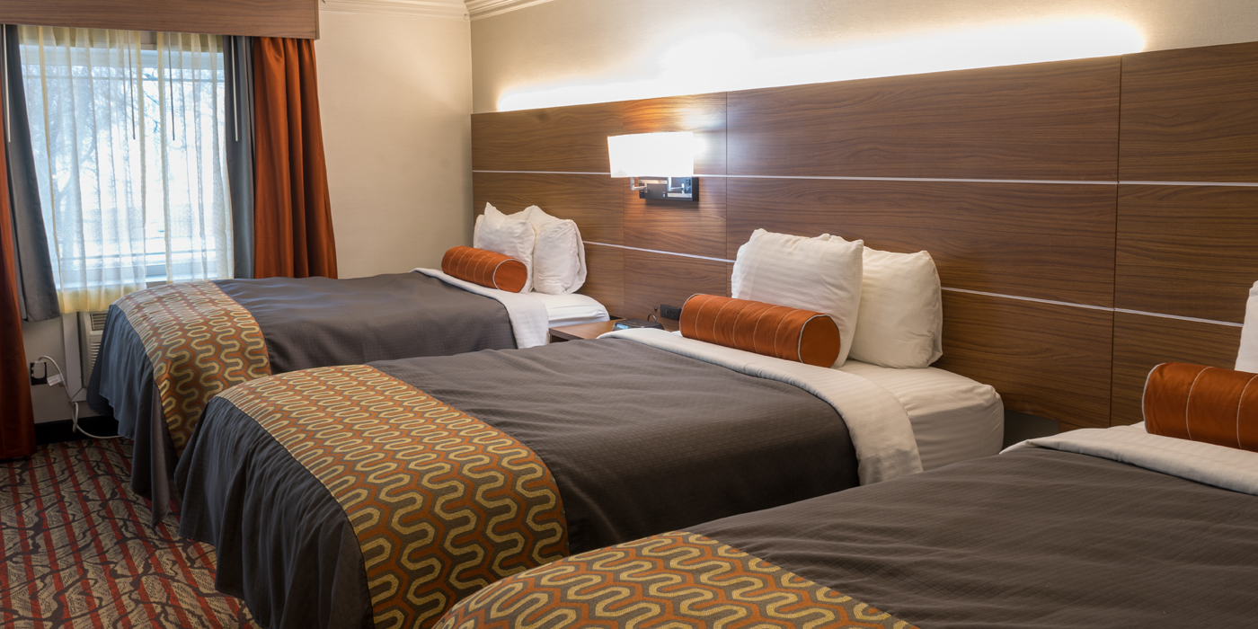 Spacious Guest Room